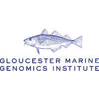 Gloucester Marine Genomics Institute