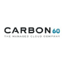 Carbon60 Networks