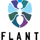 Flant