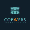 Cobwebs Technologies