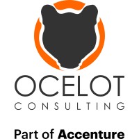 Ocelot Consulting